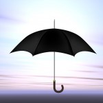 Business Umbrella Insurance