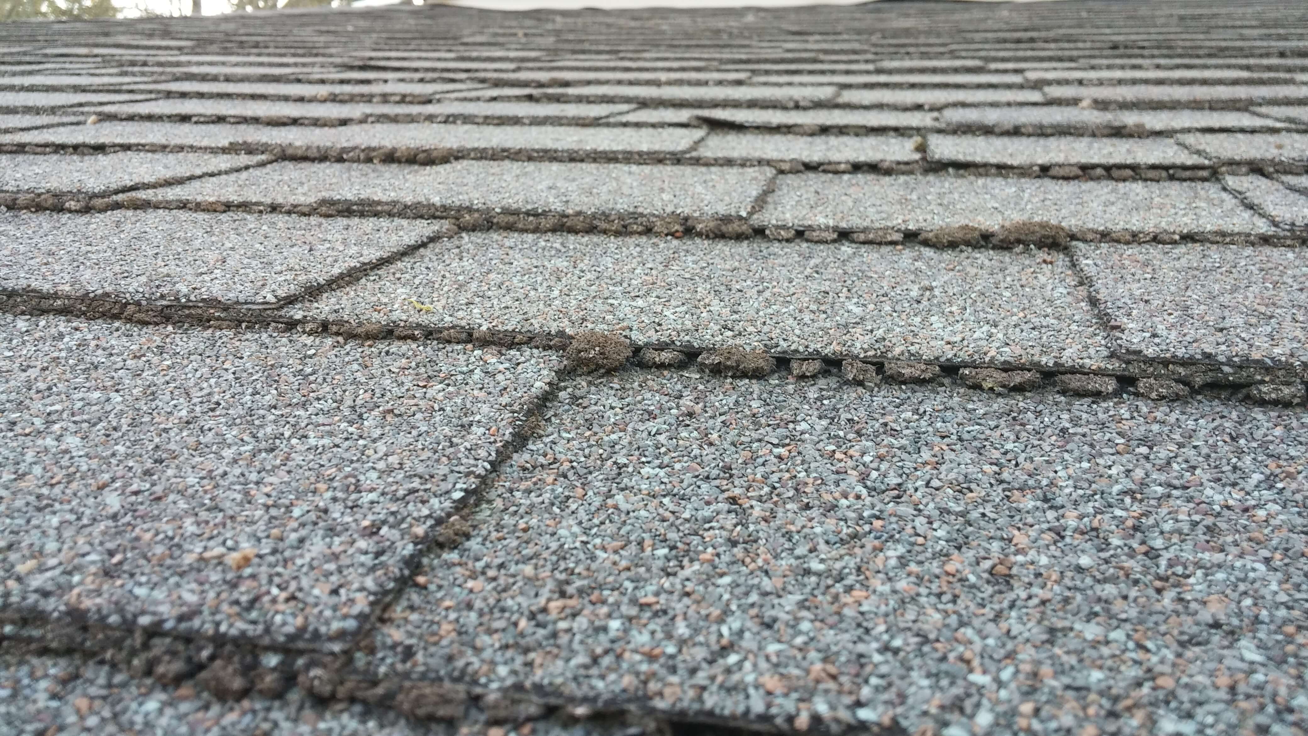 How to inspect your roof for damage in Eugene, OR