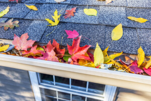Fall Home Maintenance Checklist for your Eugene, OR home