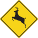 How to lower your risk for a deer collision in Eugene, OR