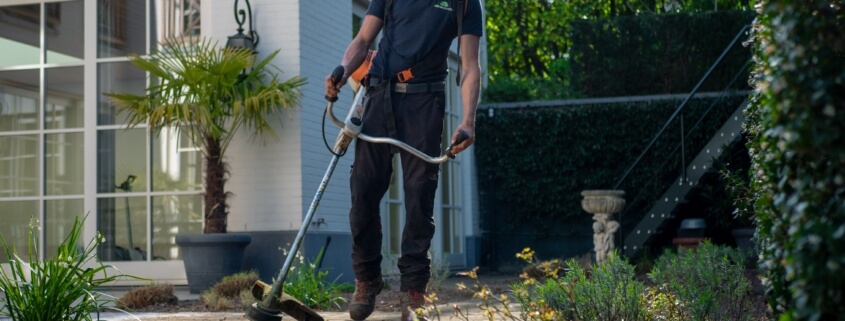 Landscaper Insurance in Eugene, OR