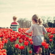 Spring Activities to Consider in Eugene, Oregon