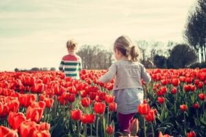 Spring Activities to Consider in Eugene, Oregon